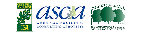 Member Associations